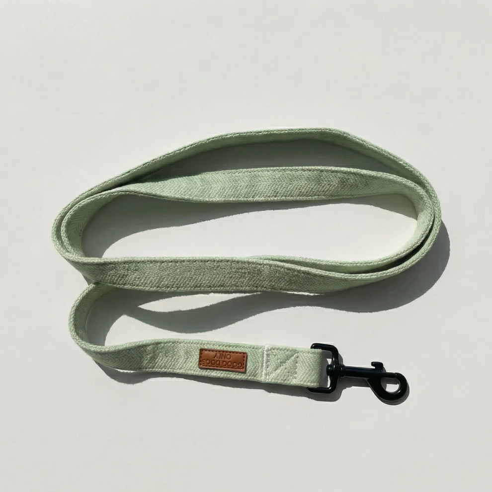 Light green dog leash with a brown leather patch on a light gray background