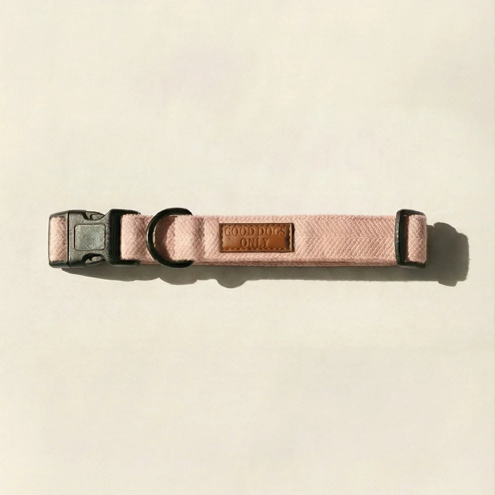 Dog collar with leather patch on a beige background