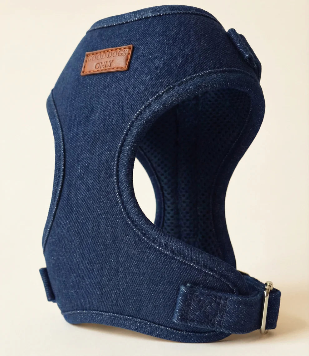 Blue dog harness with a visible brand label on a beige background