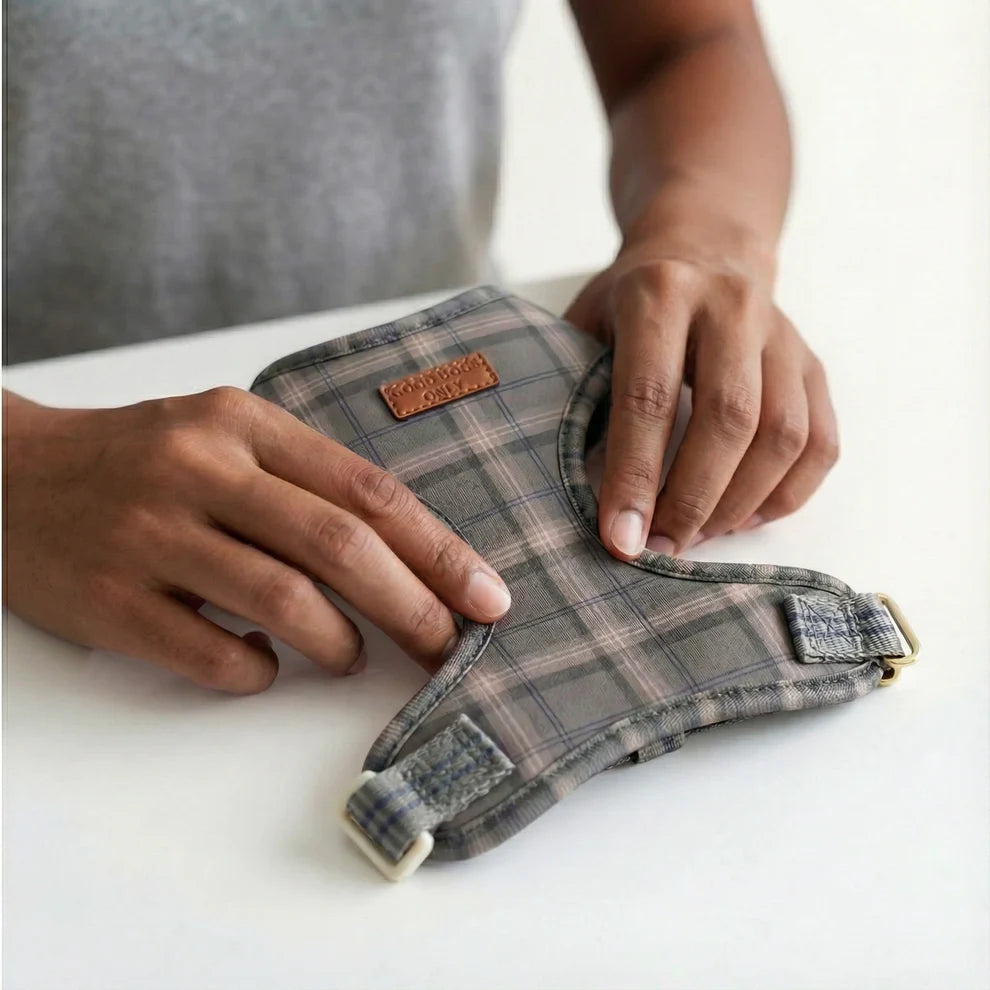 Person holding a plaid-patterned dog harness on a white surface