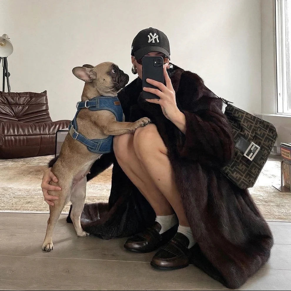 Person taking a mirror selfie with a dog wearing a denim outfit in a living room.