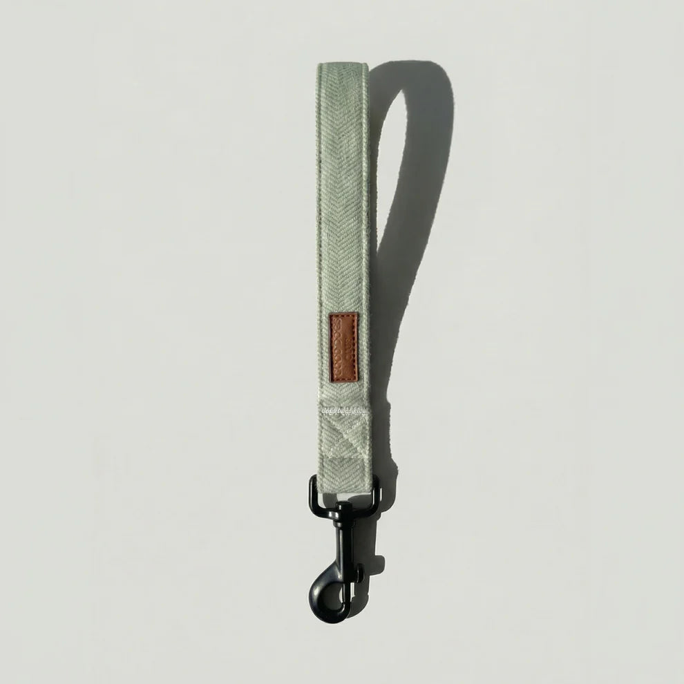 Green dog leash with a brown patch on a light gray background