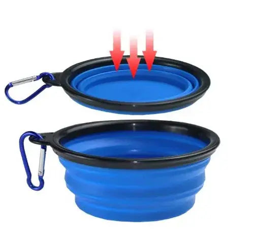 Collapsible blue pet bowl with black rim and carabiner on a white background