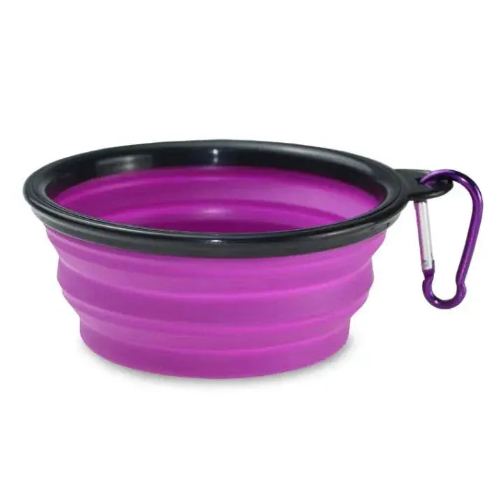 Purple collapsible dog bowl with black rim and purple carabiner on a white background