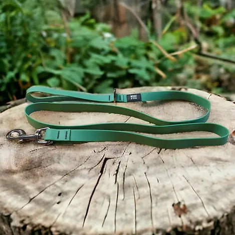 Green dog leash on a wooden log with a blurred natural background
