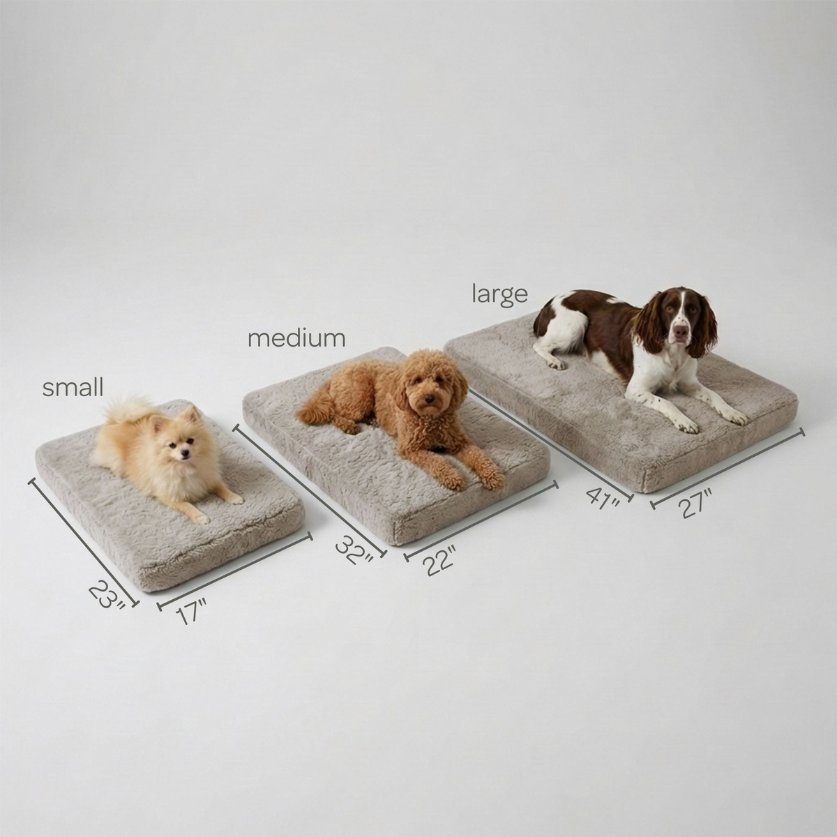 Three dogs on different sizes of pet beds with measurements indicated.