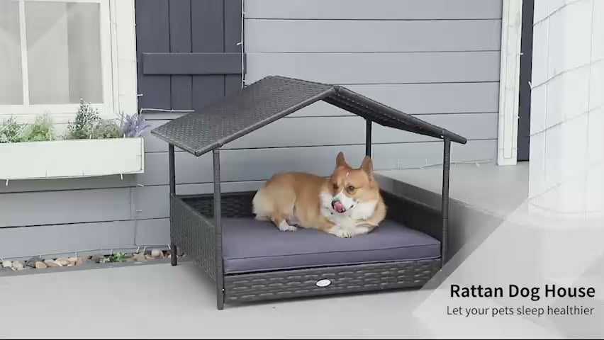 video showing a dog using a rattan covered pet bed outdoors