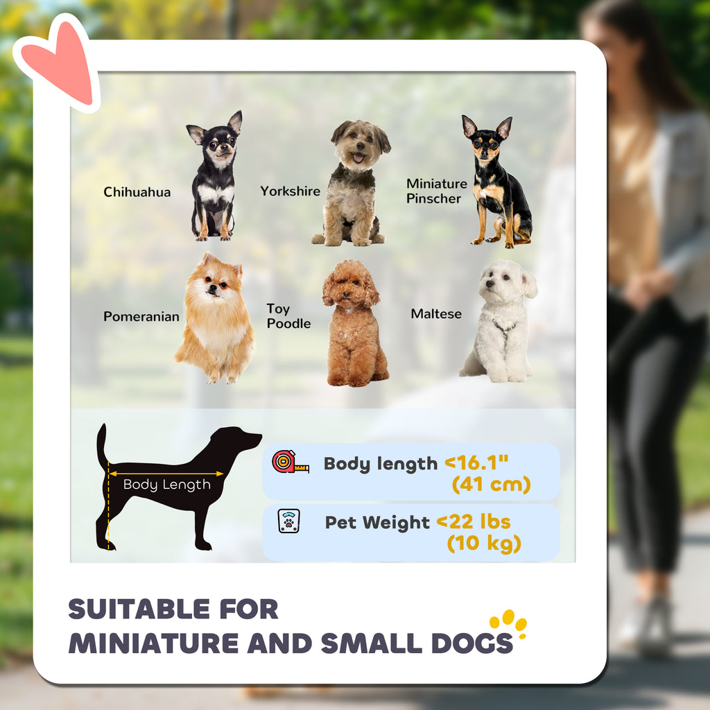 Card with images of small dogs and specifications suitable for miniature and small dogs, with a blurred background of a person walking a dog.