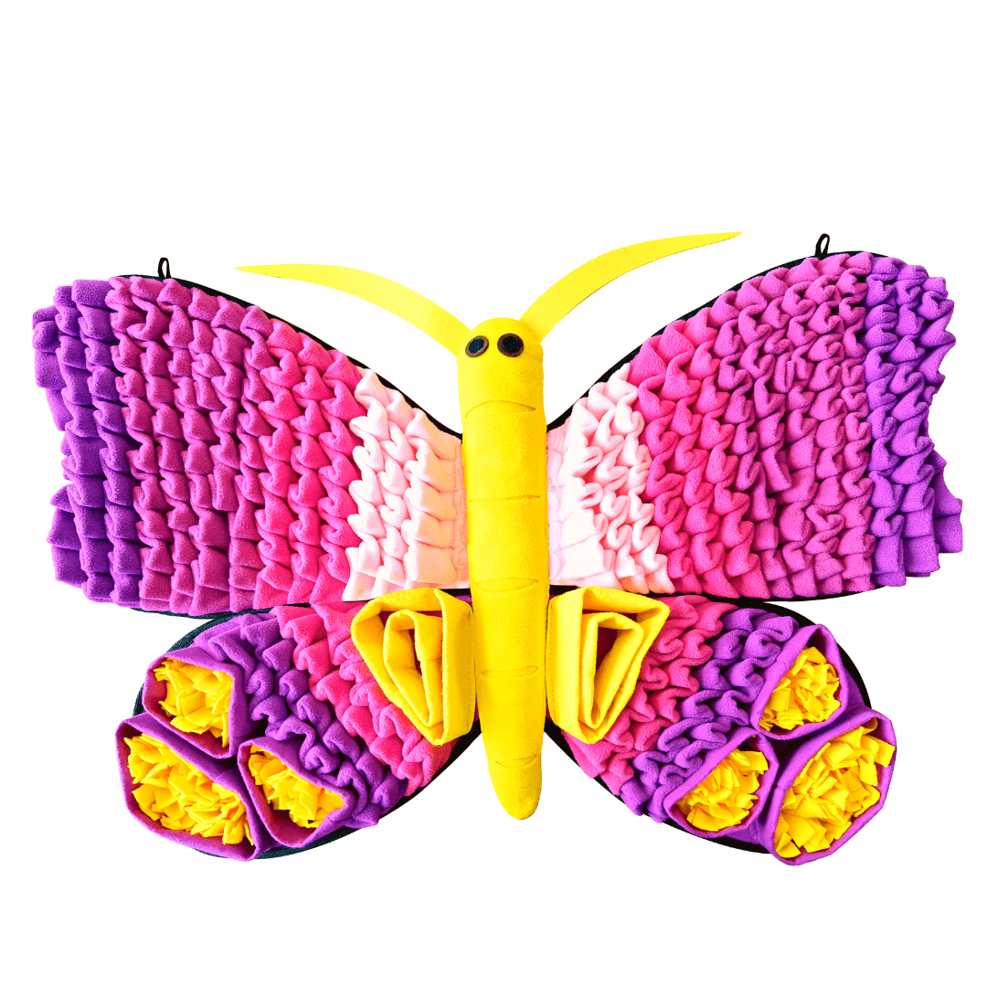 Colorful butterfly-shaped toy with pink, yellow, and purple wings on a white background