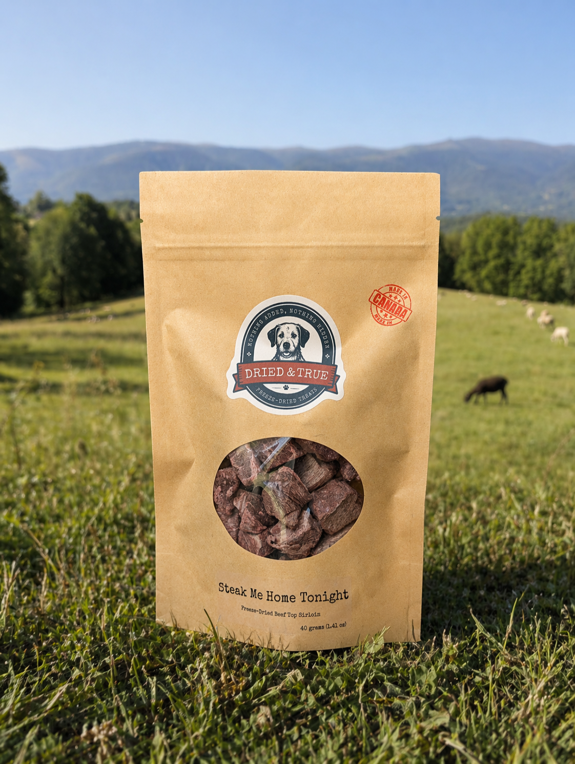 Kraft paper bag with dried pet food and brand logo on a grassy field with mountains in the background
