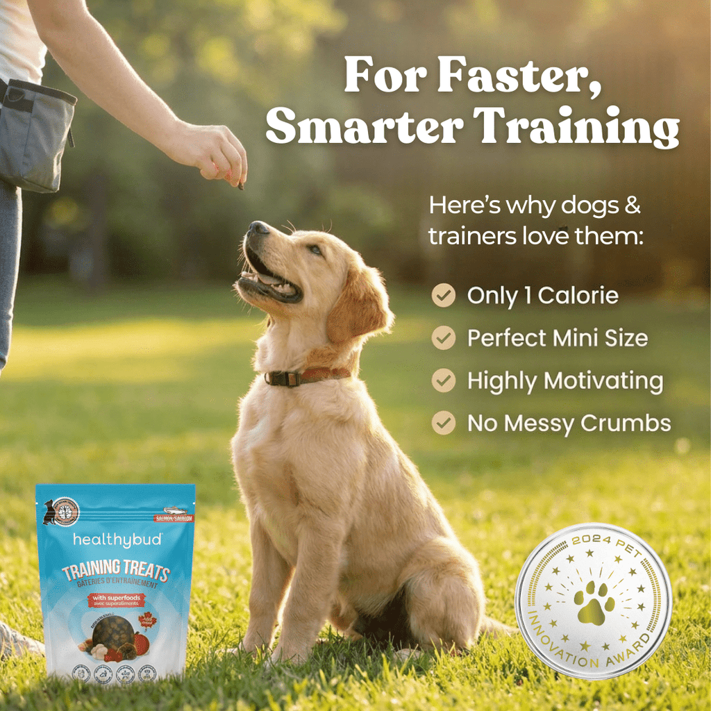 Dog sitting on grass with a person's hand, promotional text about training treats, and a '2024 Pet Product Innovation Award' badge.
