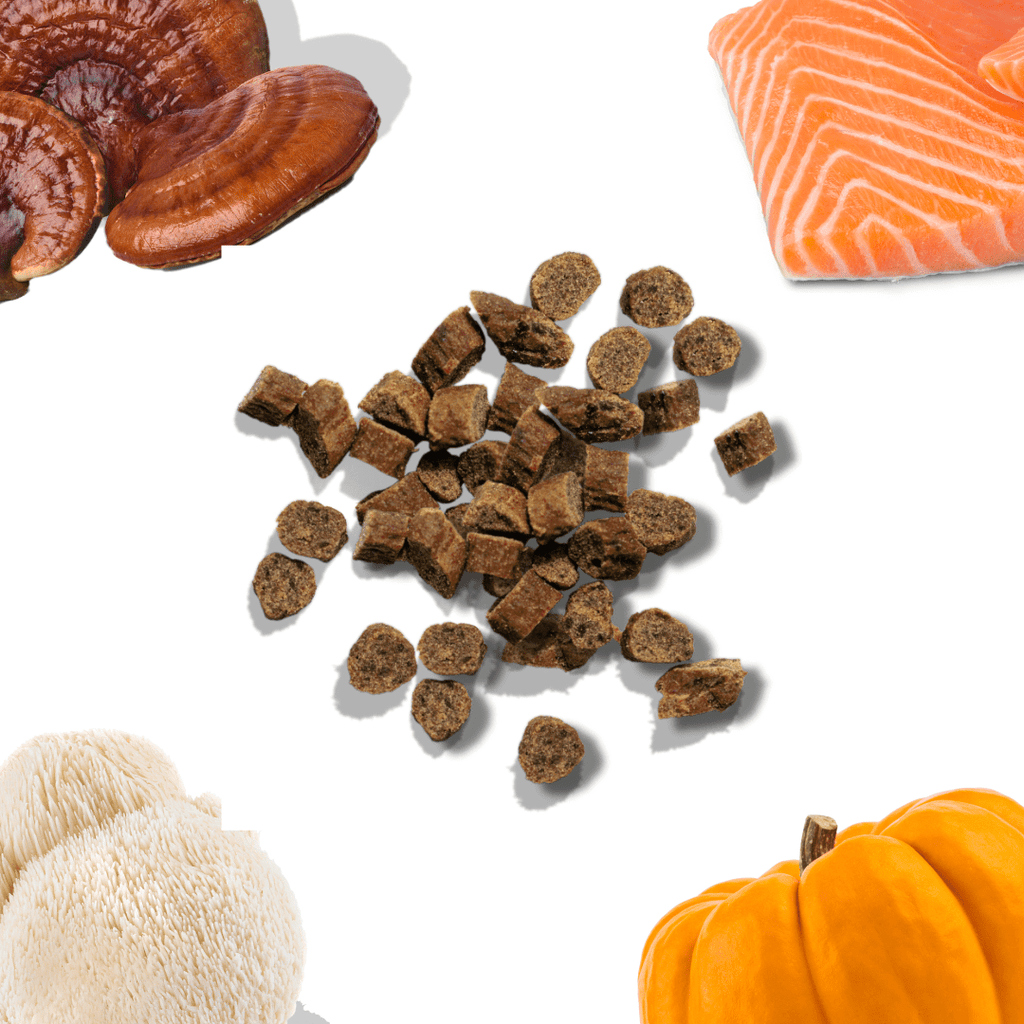 Dog treats with a pumpkin, toy, and salmon on a white background