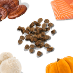 Dog treats with a pumpkin, toy, and salmon on a white background