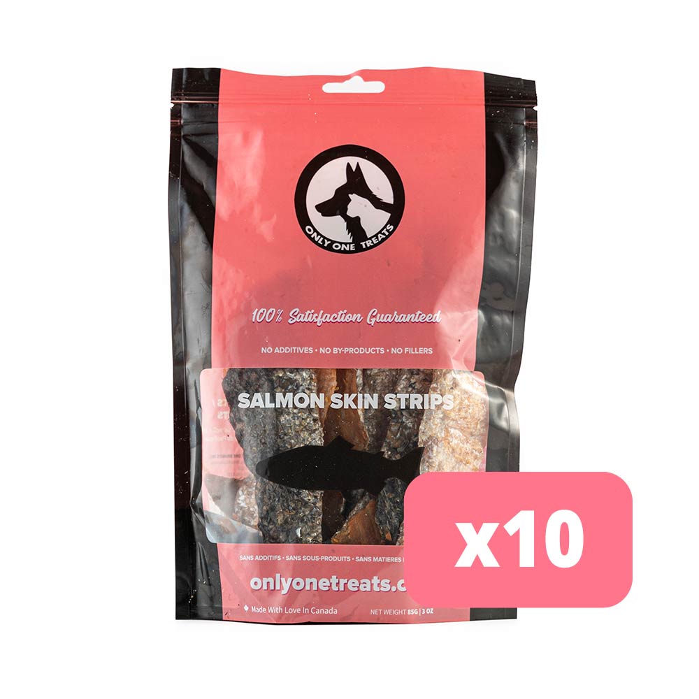 Package of salmon skin strips for dogs with 'Only One Treats' branding on a white background.