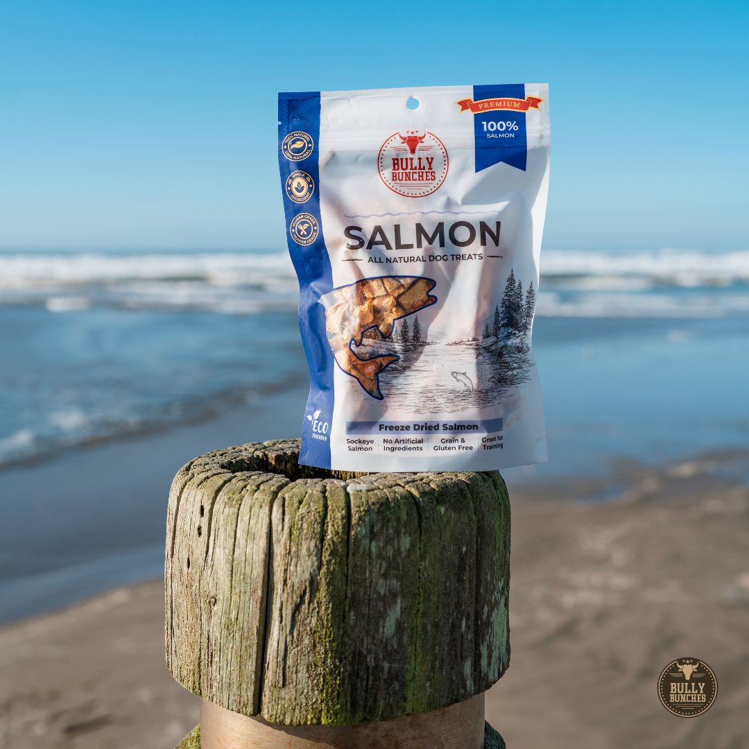 A bag of Bully Ranches Salmon dog treats stands upright on a weathered wooden post with a beach and ocean in the background. The package is white and blue with a photo of a salmon and a dog.