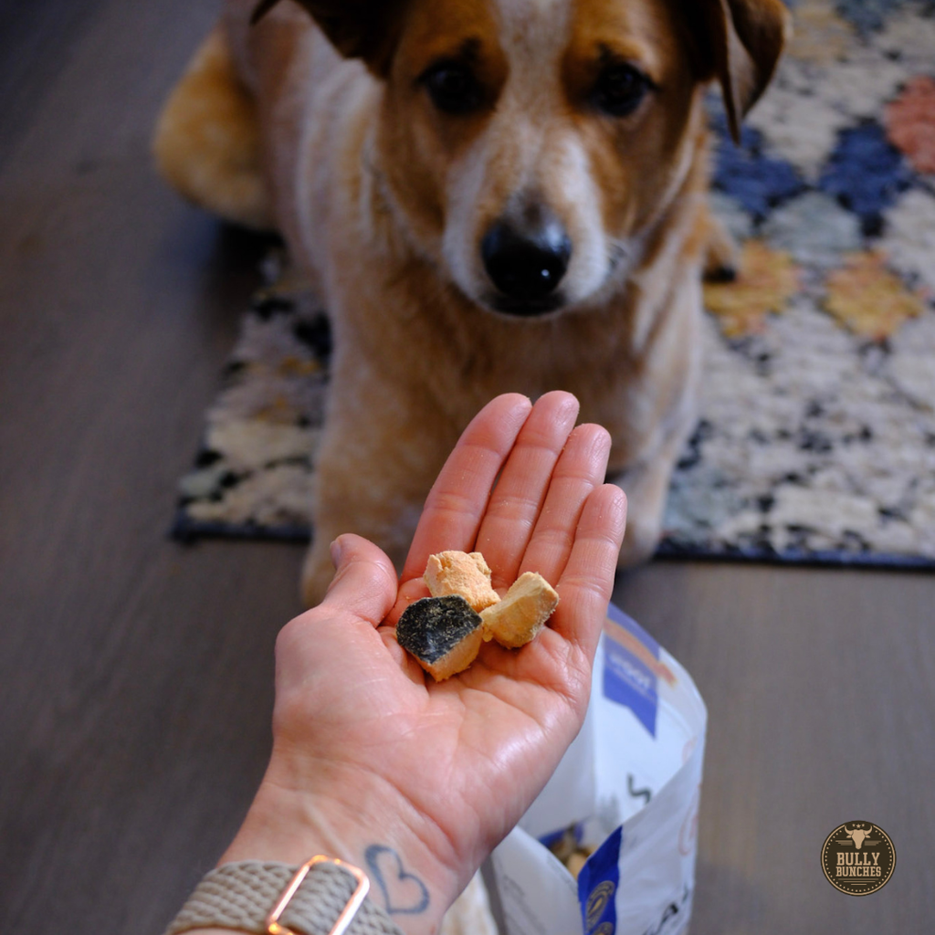 A close-up of a dog's face in the background while a human hand holds small dog treats in their palm. A bag of treats is partially visible at the bottom, and a 'Bully the Dog' logo watermark appears in the lower right corner.