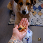 A close-up of a dog's face in the background while a human hand holds small dog treats in their palm. A bag of treats is partially visible at the bottom, and a 'Bully the Dog' logo watermark appears in the lower right corner.