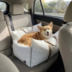 Dog sitting in a pet seat in the back of a car