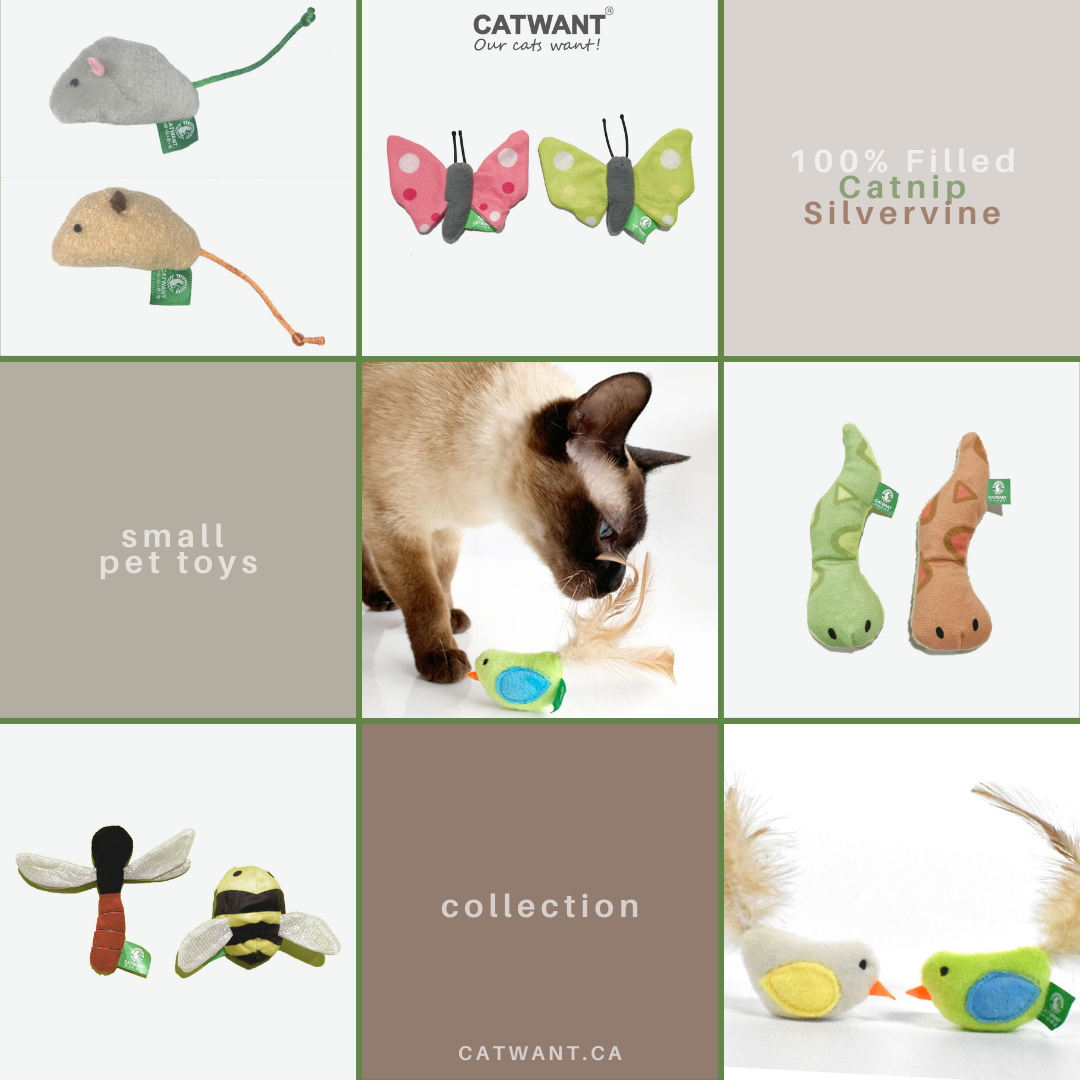 Collage of cat toys with 'Catwant' branding and a cat interacting with one toy.