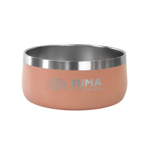Pink dog bowl with a silver rim on a white background