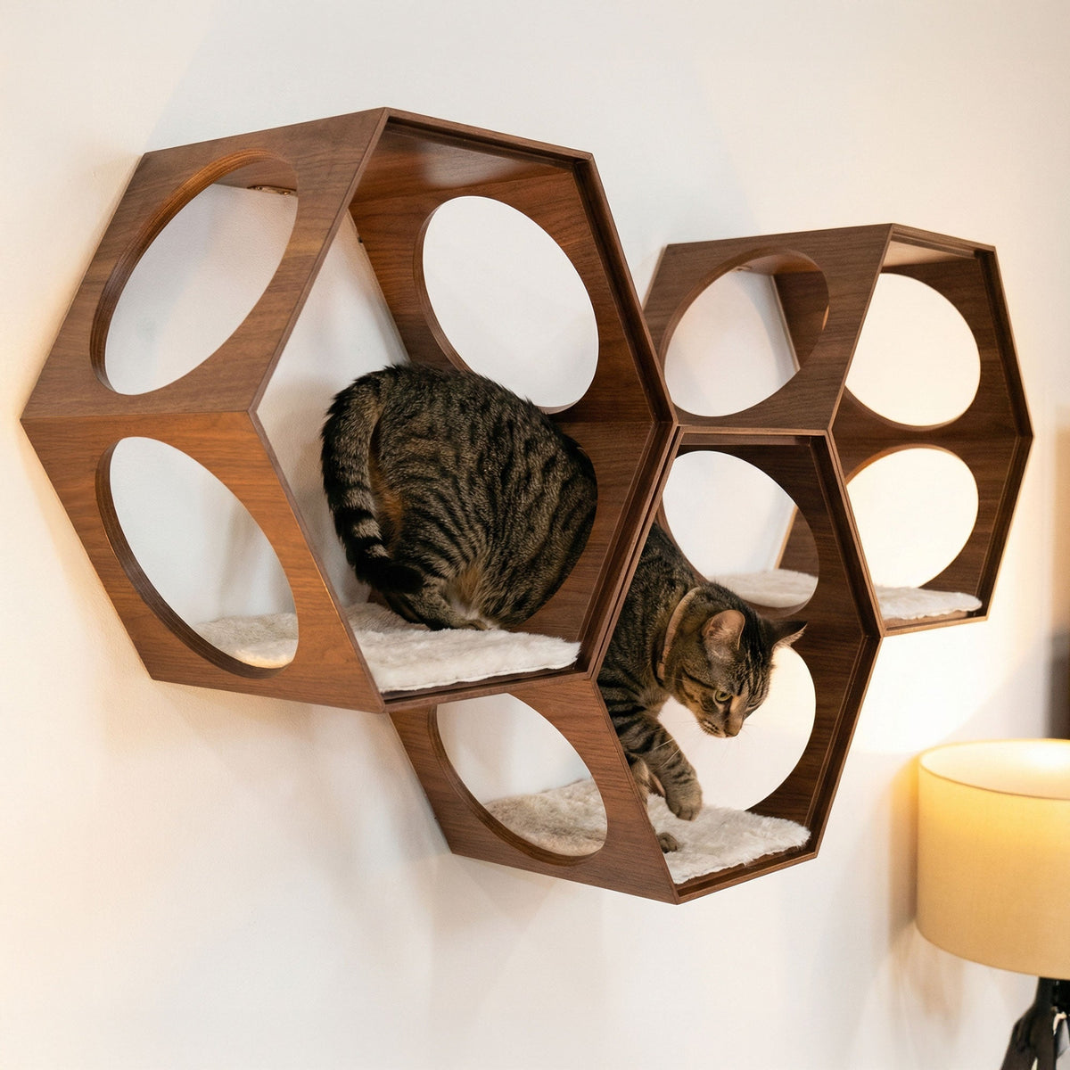 Hexagonal wooden cat shelf with a cat sitting on it against a white wall.