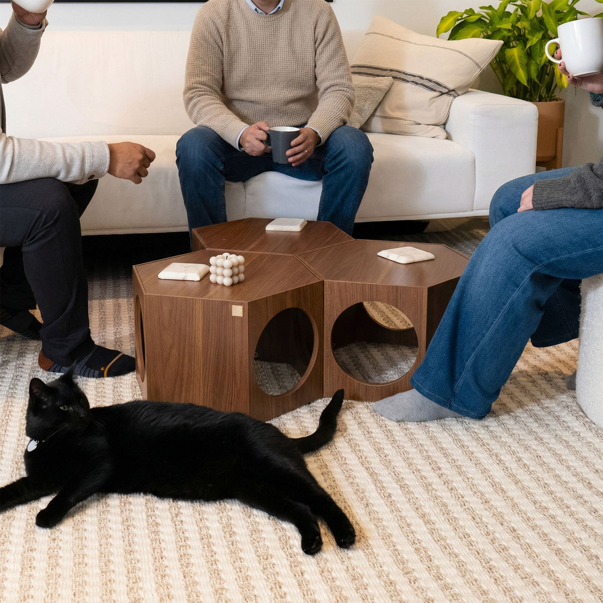 People sitting on a couch with a black cat lying on the floor in a living room.
