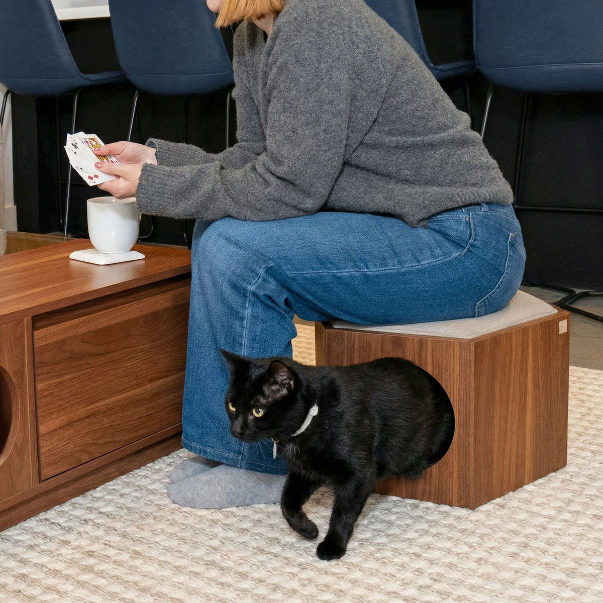 Person sitting on a wooden stool with a black cat beside them, in a room with blue chairs and a wooden cabinet.