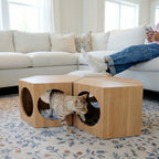 Cat playing with a wooden pet furniture piece in a living room.