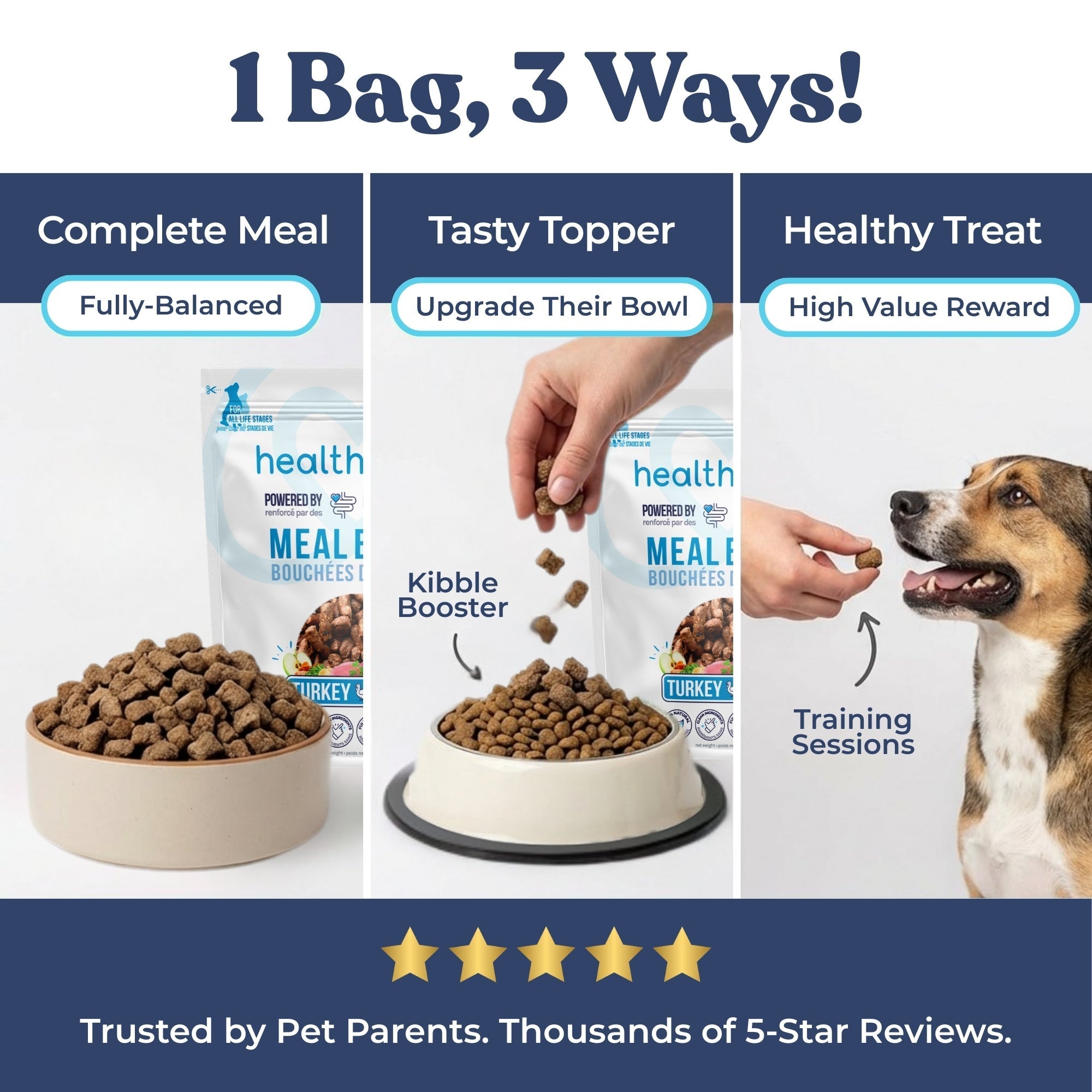information of dog food and how to give to dogs as a complete meal, as a tasty topper or as a treat