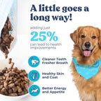 Dog food with a dog wearing a blue bandana with information regarding benefits of the dog food