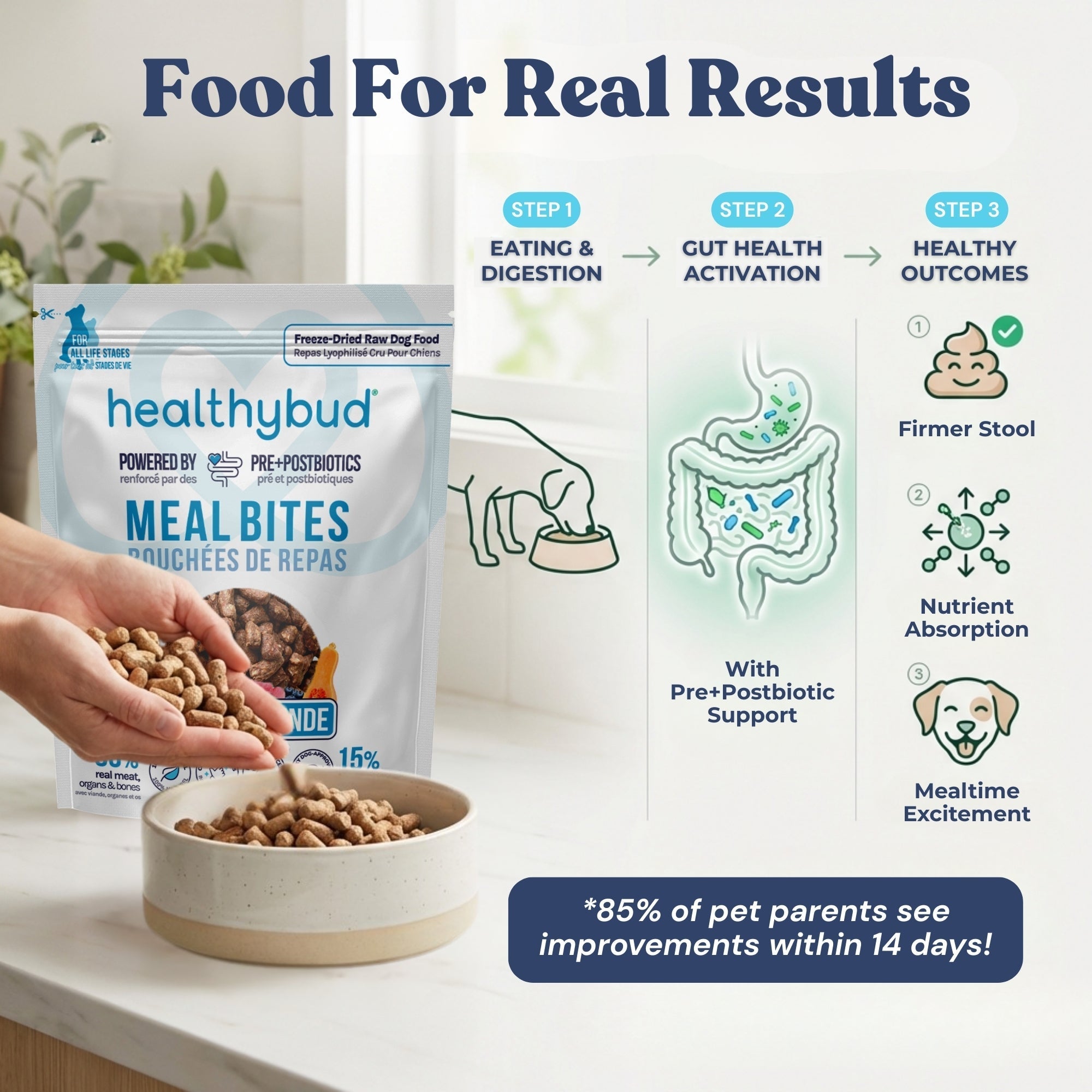 Description of the dog food with pictures