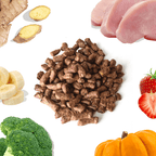 Dog food with ginger, bananas, strawberries, turkey, brocoli and squash on a white background