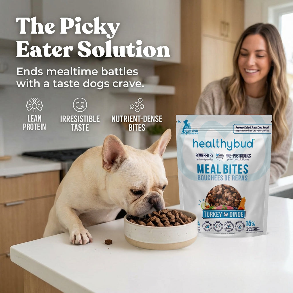 picture of a woman with a dog eating dog food with The picky eater solution in text