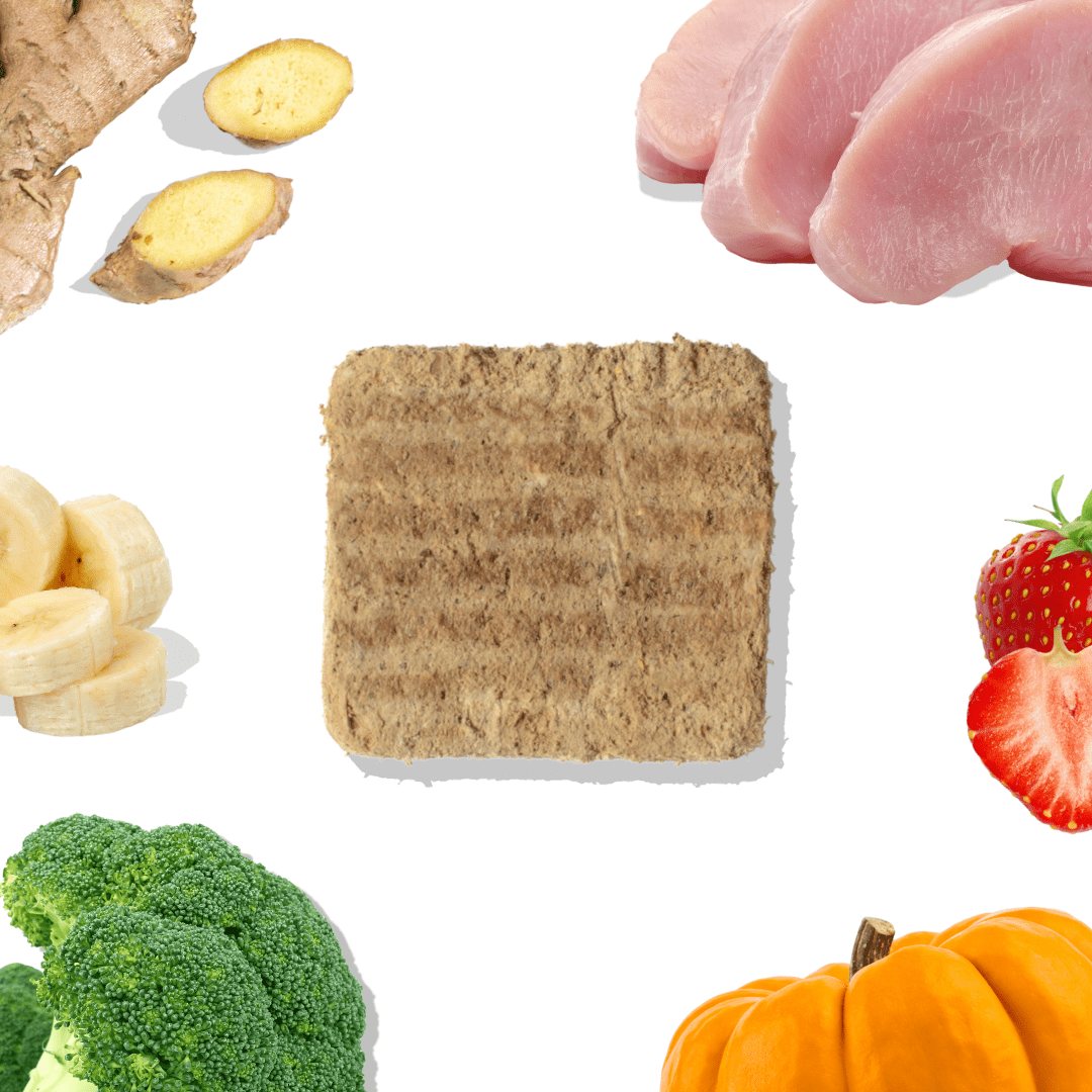 Picture of dog food patty with images of turkey, strawberries, pumpkin, broccoli. bananas and ginger on a white background