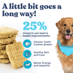 Picture of a dog beside dog food patties with a statement that mentions a 25 % health improvements