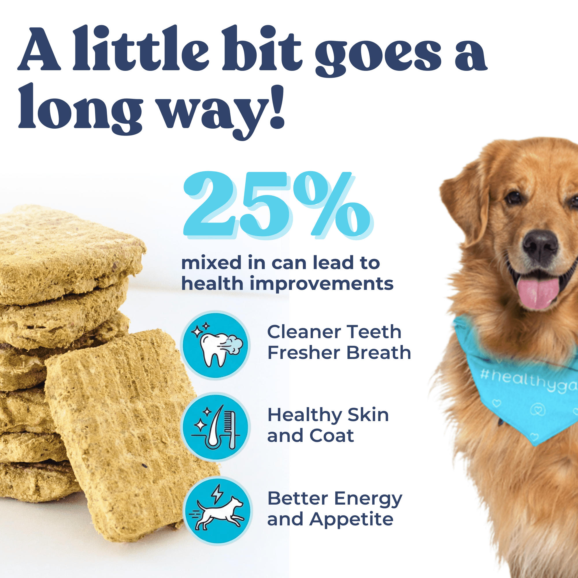 Picture of a dog beside dog food patties with a statement that mentions a 25 % health improvements