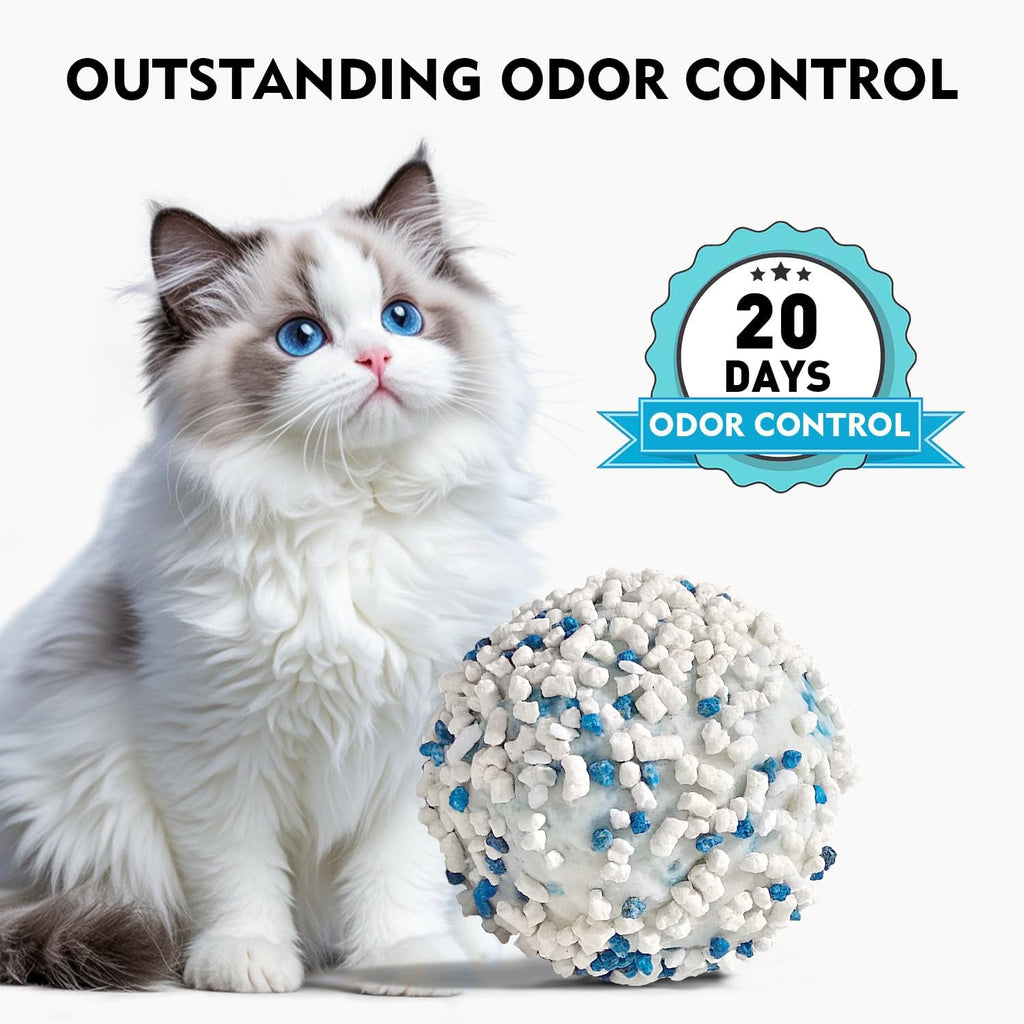 Cat with a ball labeled 'Outstanding Odor Control' and '20 Days Odor Control'.