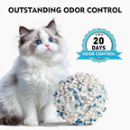 Cat with a ball labeled 'Outstanding Odor Control' and '20 Days Odor Control'.