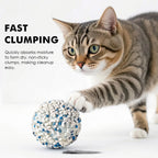 Cat playing with a fast clumping cat litter product on a white background