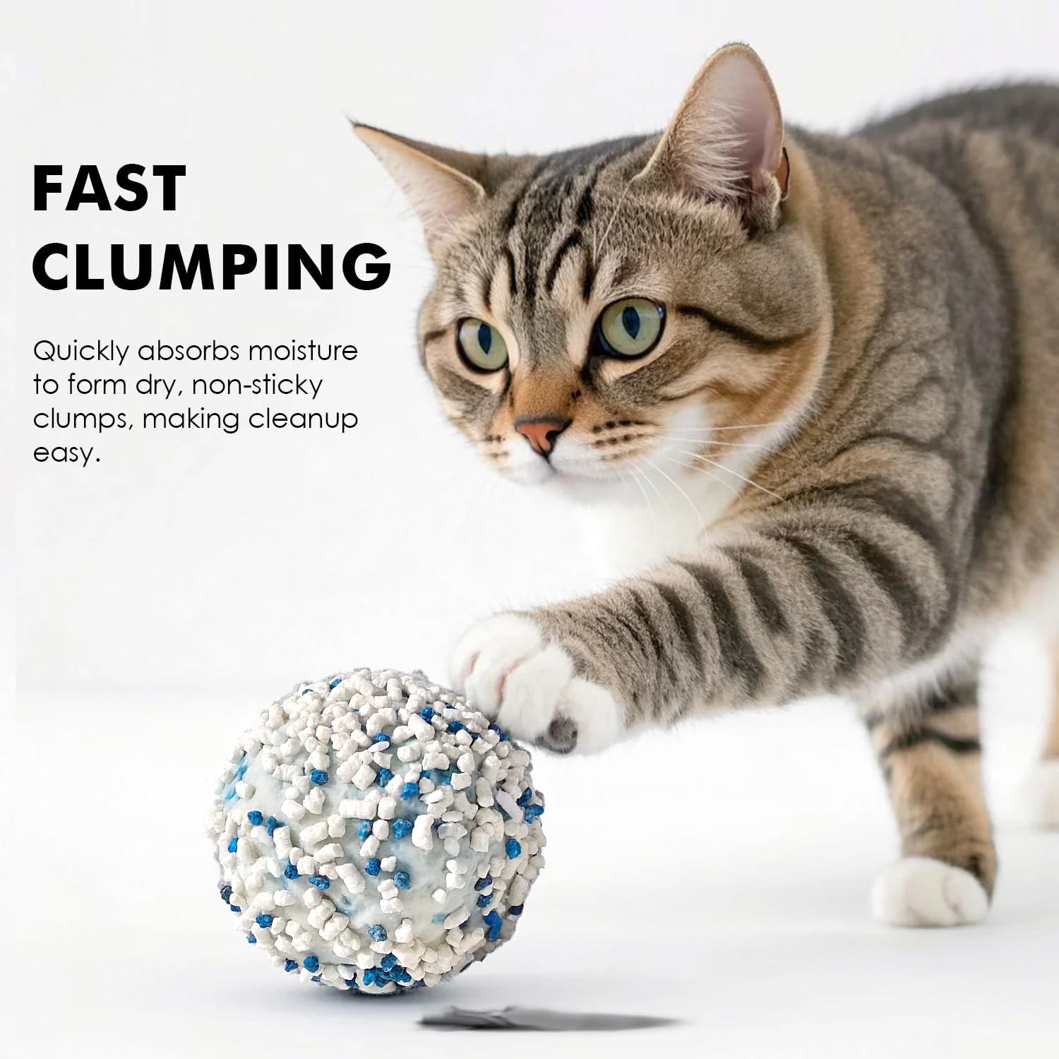 Cat playing with a fast clumping cat litter product on a white background