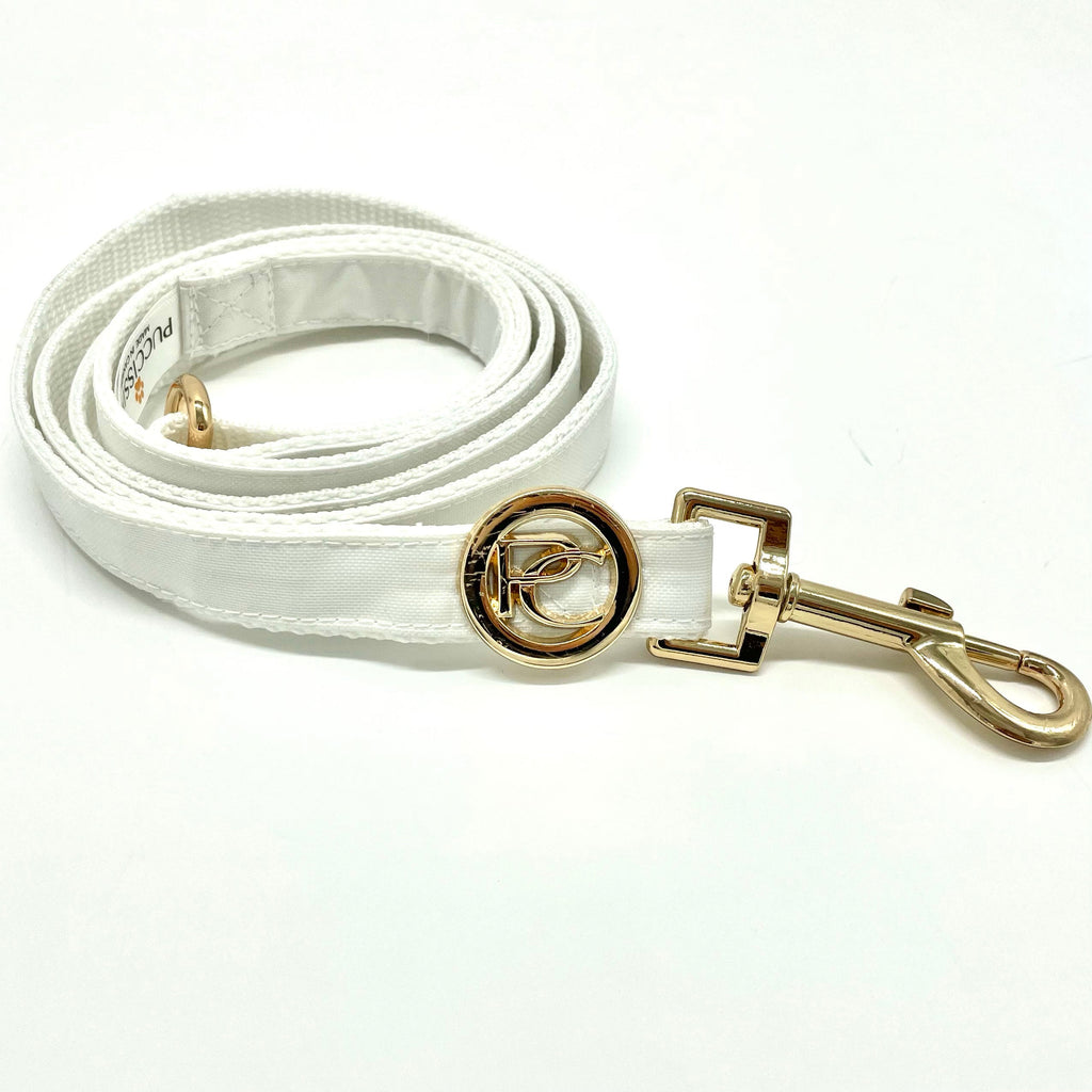 White dog leash with gold hardware on a white background