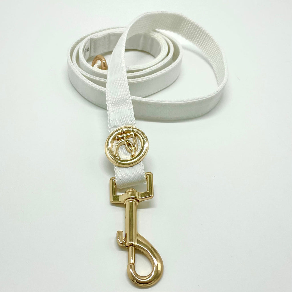 White dog leash with gold clasp on a white background