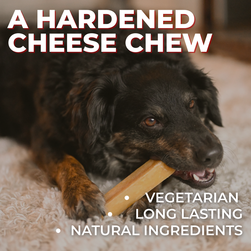 Dog chewing on a hardened cheese chew with text about its properties.
