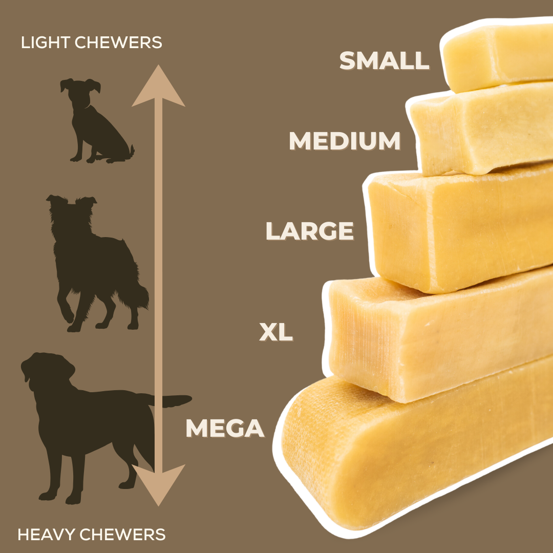 Dog chew size chart with silhouettes of dogs and corresponding chew sizes on a brown background.