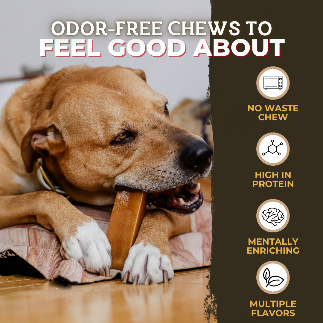 Dog chewing on a treat with text about odor-free chews and benefits.