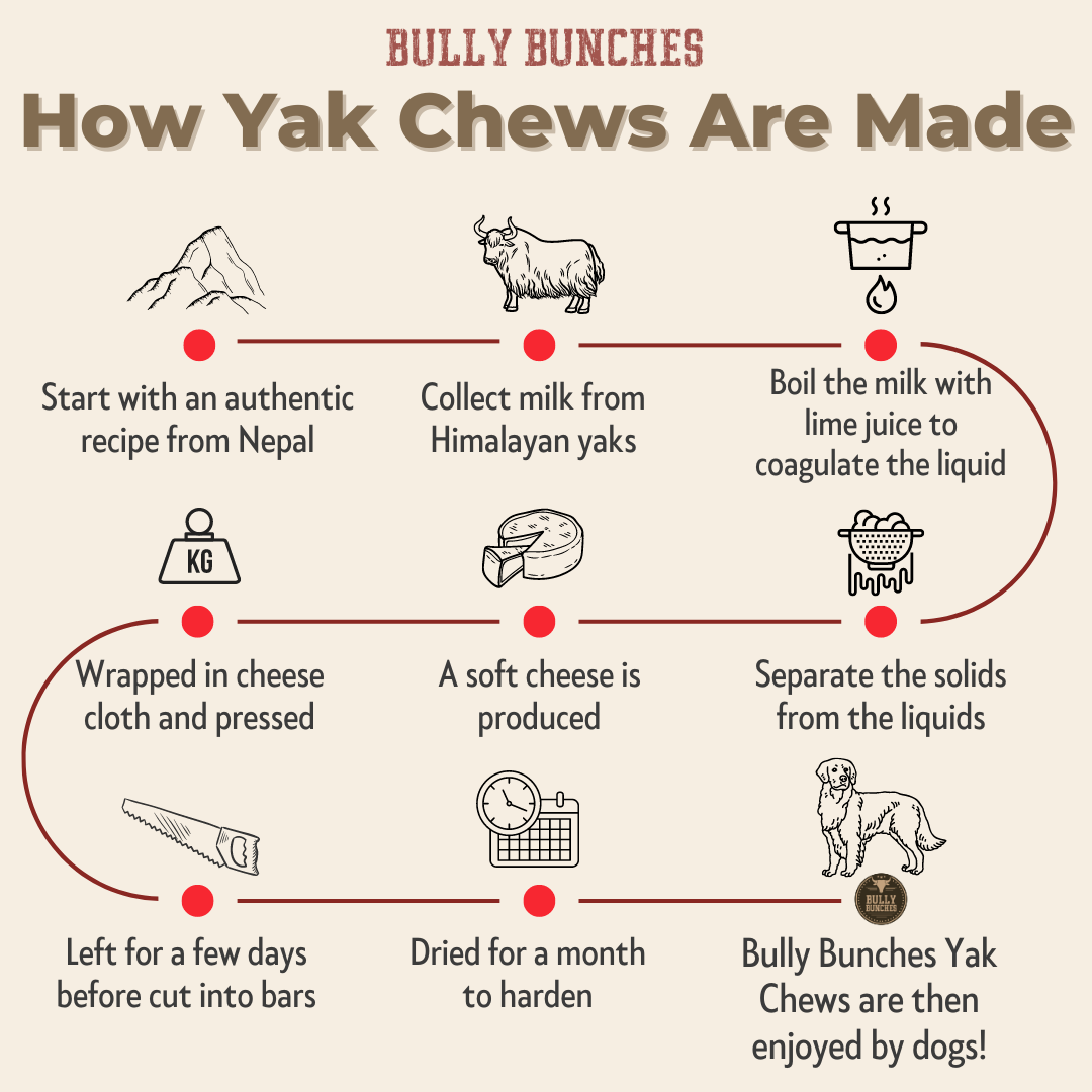 Step-by-step process of making Bully Bunches yak chews with illustrations and text.